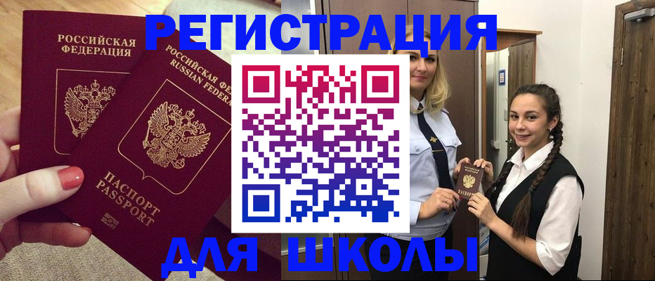 прописка для школы в Ленинградской области